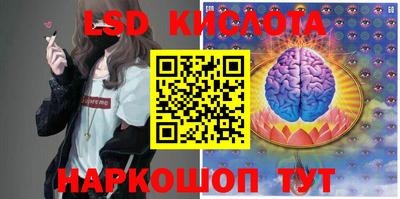 спиды Новоалександровск